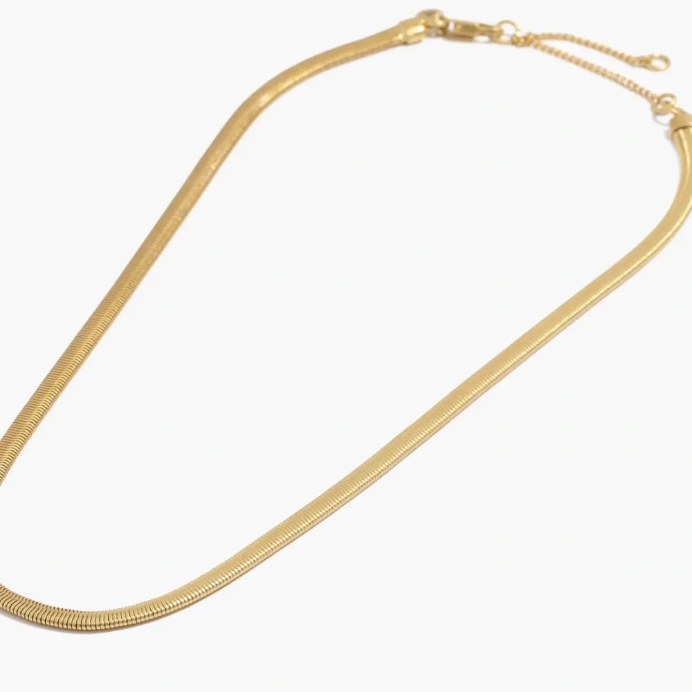 NWT Madewell Herringbone Chain Necklace - Picture 4 of 10
